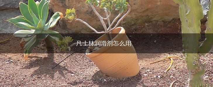 凡士林润滑剂怎么用,第1张