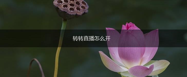 转转直播怎么开,第1张