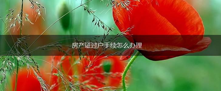 房产证过户手续怎么办理,第1张