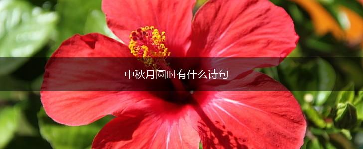 中秋月圆时有什么诗句,第1张