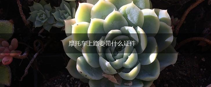 摩托车上路要带什么证件,第1张
