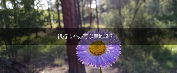 银行卡补办可以异地吗？,第1张