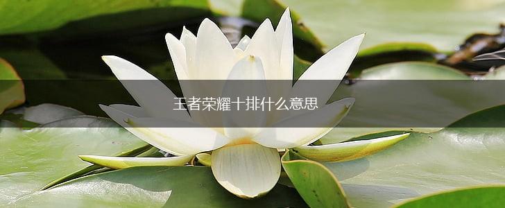王者荣耀十排什么意思,第1张