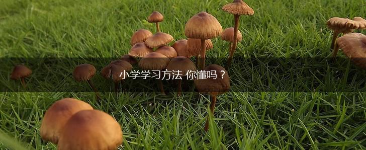 小学学习方法 你懂吗？,第1张