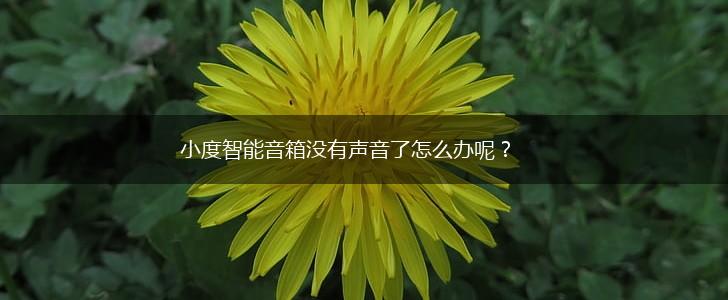 小度智能音箱没有声音了怎么办呢？,第1张
