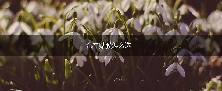 汽车贴膜怎么选,第1张