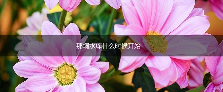 那垌水库什么时候开始,第1张