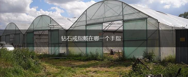 钻石戒指戴在哪一个手指,第1张
