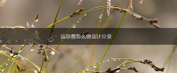 运杂费怎么做会计分录,第1张