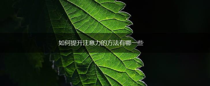 如何提升注意力的方法有哪一些,第1张