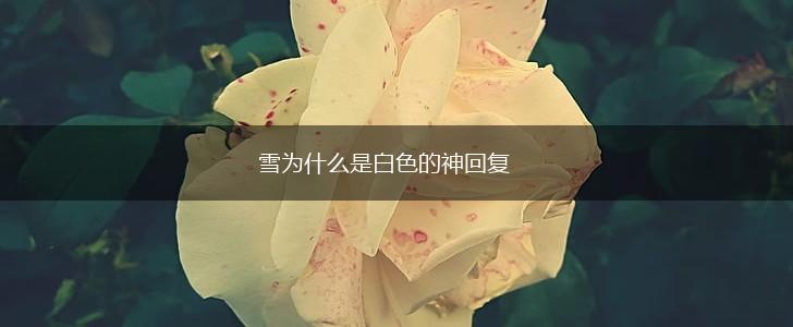 雪为什么是白色的神回复,第1张