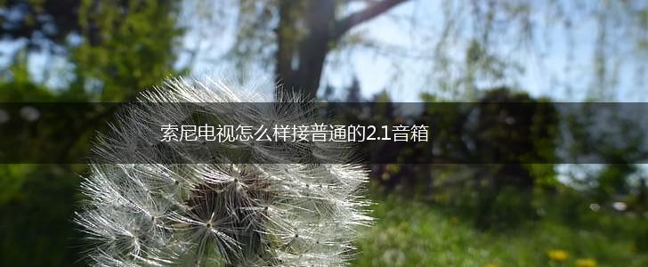 索尼电视怎么样接普通的2.1音箱,第1张