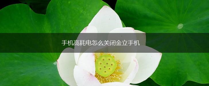手机高耗电怎么关闭金立手机,第1张