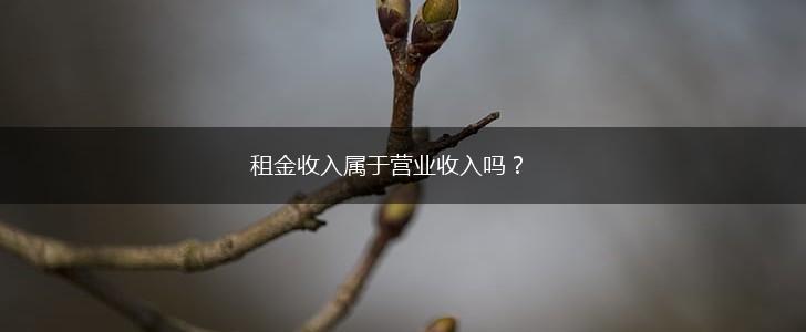 租金收入属于营业收入吗？,第1张