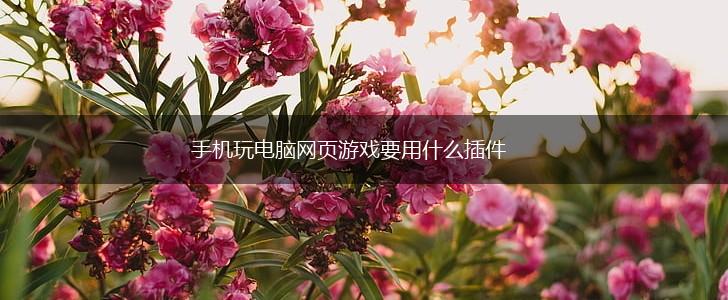 手机玩电脑网页游戏要用什么插件,第1张
