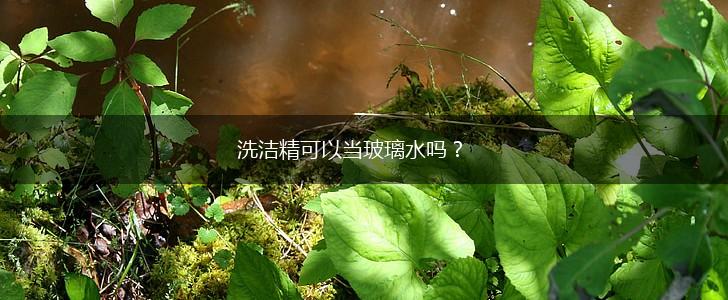 洗洁精可以当玻璃水吗？,第1张