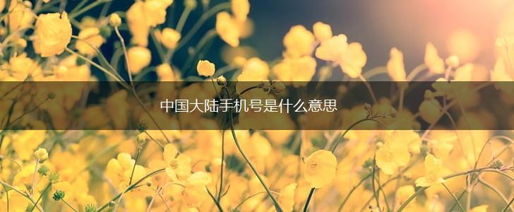 中国大陆手机号是什么意思,第1张