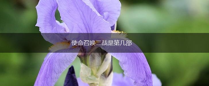 使命召唤二战是第几部,第1张