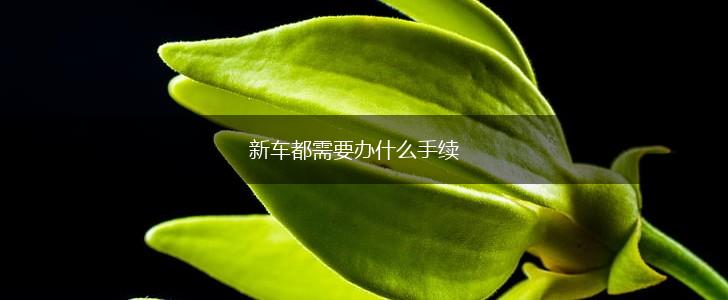 新车都需要办什么手续,第1张