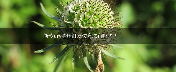 新款urv胎压灯复位方法有哪些？,第1张