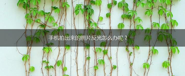 手机拍出来的照片反光怎么办呢？,第1张