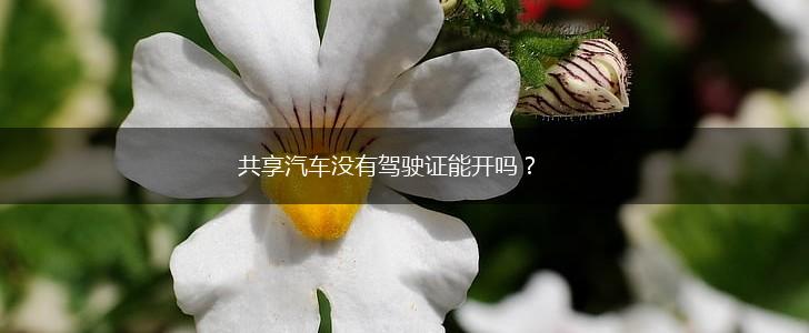 共享汽车没有驾驶证能开吗？,第1张