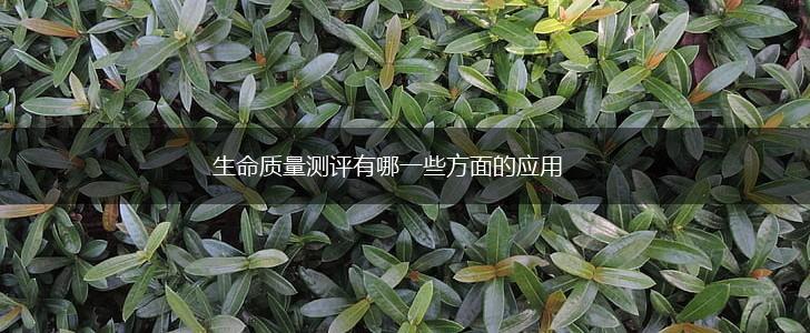 生命质量测评有哪一些方面的应用,第1张