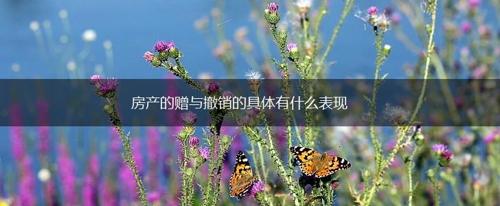 房产的赠与撤销的具体有什么表现,第1张
