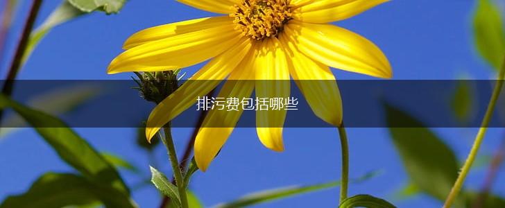 排污费包括哪些,第1张