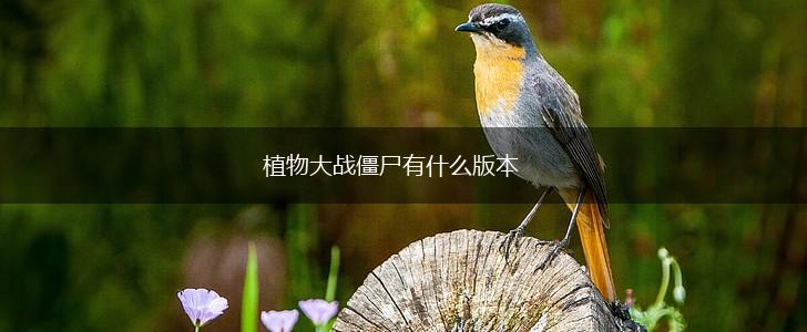 植物大战僵尸有什么版本,第1张
