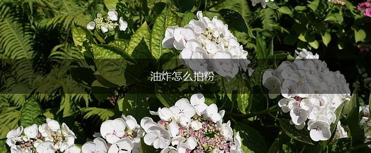 油炸怎么拍粉,第1张