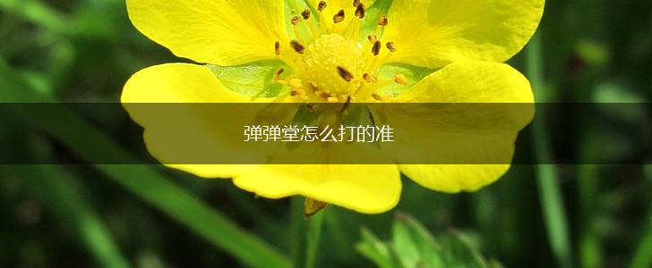 弹弹堂怎么打的准,第1张