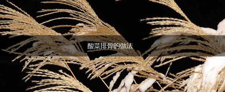 酸菜排骨的做法,第1张