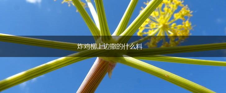 炸鸡柳上边撒的什么料,第1张