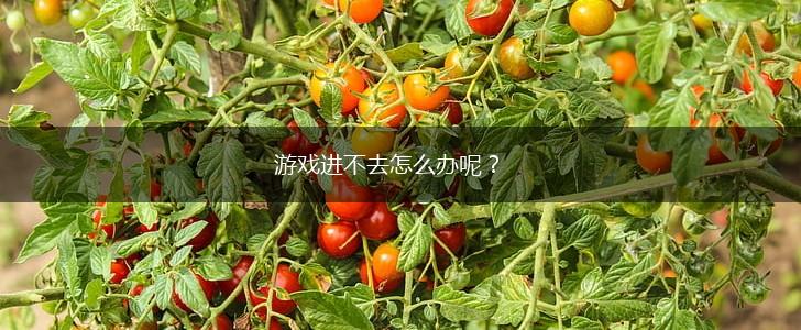 游戏进不去怎么办呢？,第1张