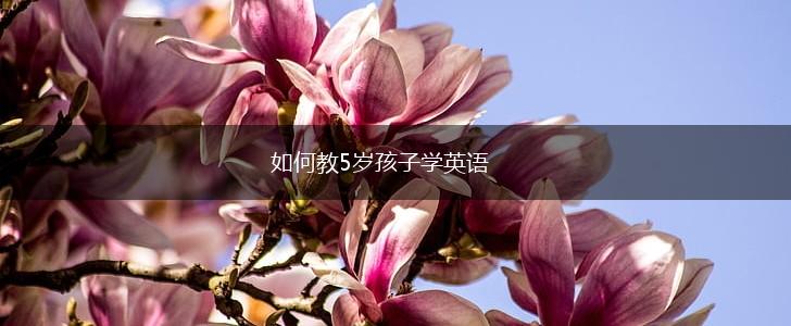 如何教5岁孩子学英语,第1张