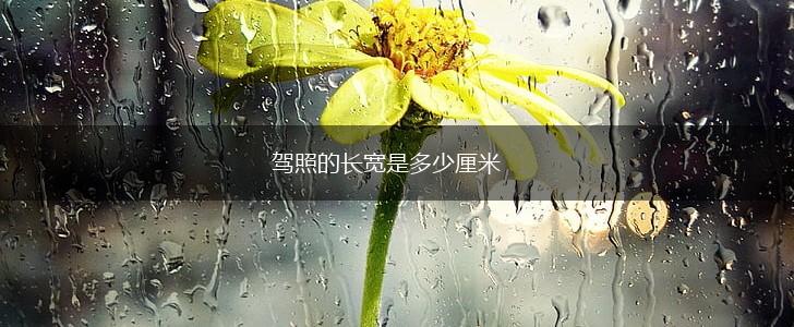 驾照的长宽是多少厘米,第1张