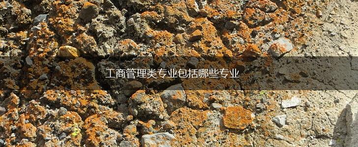 工商管理类专业包括哪些专业,第1张