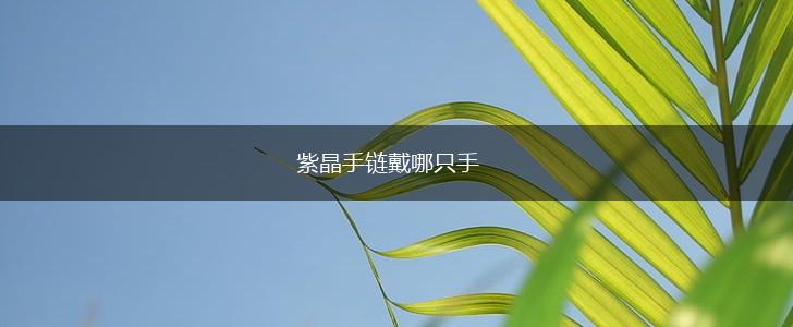 紫晶手链戴哪只手,第1张