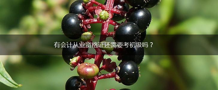 有会计从业资格证还需要考初级吗？,第1张