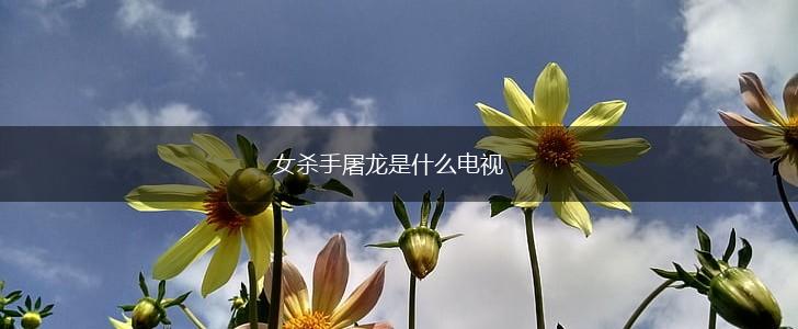 女杀手屠龙是什么电视,第1张