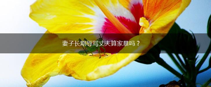 妻子长期辱骂丈夫算家暴吗？,第1张