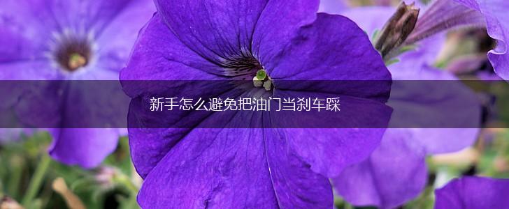 新手怎么避免把油门当刹车踩,第1张