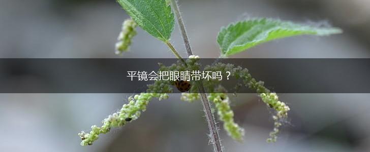 平镜会把眼睛带坏吗？,第1张