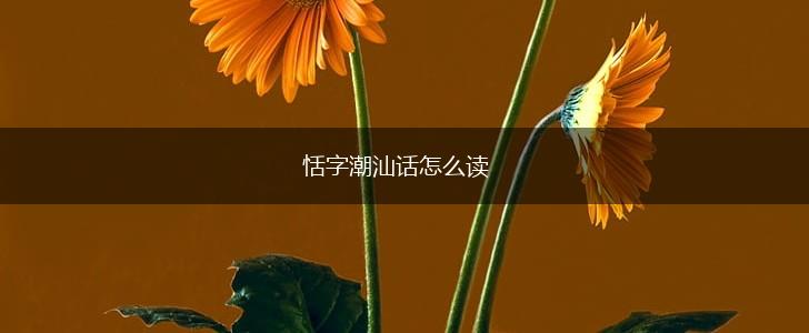 恬字潮汕话怎么读,第1张