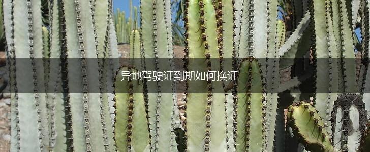 异地驾驶证到期如何换证,第1张