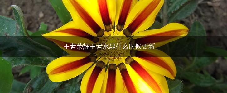 王者荣耀王者水晶什么时候更新,第1张