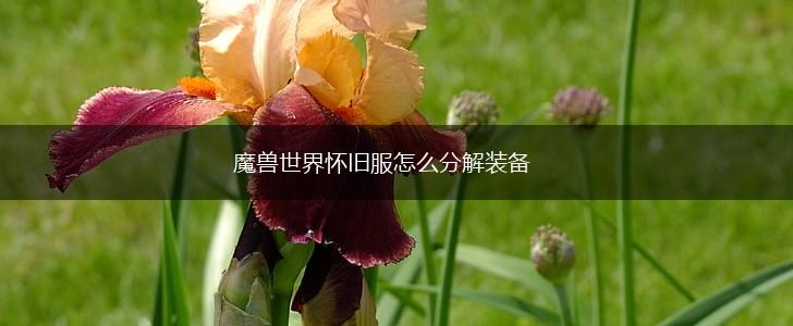 魔兽世界怀旧服怎么分解装备,第1张