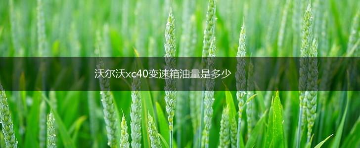沃尔沃xc40变速箱油量是多少,第1张