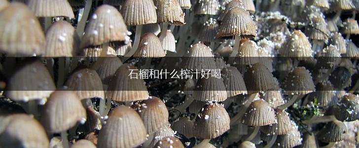石榴和什么榨汁好喝,第1张